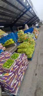 پخش لیمو ترش کله بار در قم
