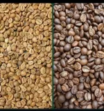 پخش قهوه با قیمت پایین در قم