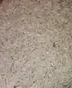 فروش عمده برنج هاشمی درجه یک