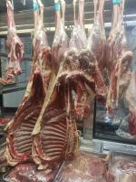 پخش گوشت و مرغ دیار جهت کترینگ و رستوران
