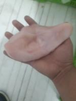 پخش مرغ و قطعات مرغ