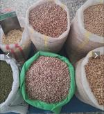 پخش عمده و جزئی حبوبات کترینگ