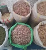 پخش عمده و جزئی حبوبات کترینگ
