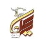 سالاد زن در تهران نیازمندیم