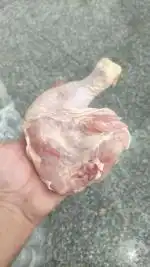 پخش مرغ شمال عمده در قم