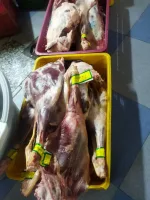 پخش گوشت گوسفندی ویژه رستوران