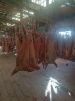 پخش گوشت و مرغ گرم و تازه و جوجه طعم‌دار و کوبیده