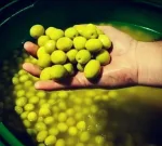 پخش عمده زیتون رستورانی در تهران