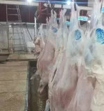 توزیع گوشت قرمز گوساله گاو /کشتار روز/ در تهران