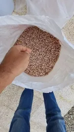 پخش ویژه لوبیا چیتی رستورانی در تهران