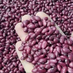 برنج ایرانی وخارجی به شرط پخت 