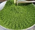 پخش عمده سبزی پاک شده برای رستوران در قم