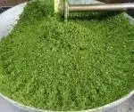 پخش عمده سبزی پاک شده برای رستوران در قم