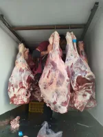 توزیع عمده گوشت ماده گاو 