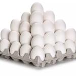 پخش عمده تخم مرغ در قم