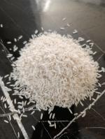 پخش عمده غلات و روغن آفتابگردان