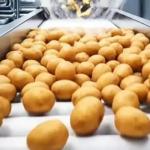 پخش سیب زمینی سوا شده