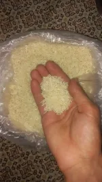پخش برنج محلی شیراز مناسب کترینگ و رستوران 
