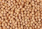 پخش ویژه نخود دیمی مناسب کترینگ در قم