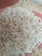 پخش عمده برنج درجه یک هاشمی گیلان