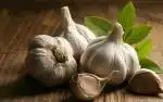 پخش سیرخشک و سبدی مخصوص کترینگ