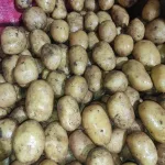 پخش عمده سیب زمینی پیاز رستورانی