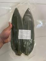 پخش میوه استوایی_سبزیجات مدیترانه ای_قارچ و تره بار